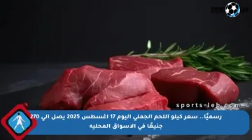 رسميًا.. سعر كيلو اللحم الجملي اليوم 17 أغسطس 2025 يصل إلى 270 جنيهًا في الأسواق المحلية
